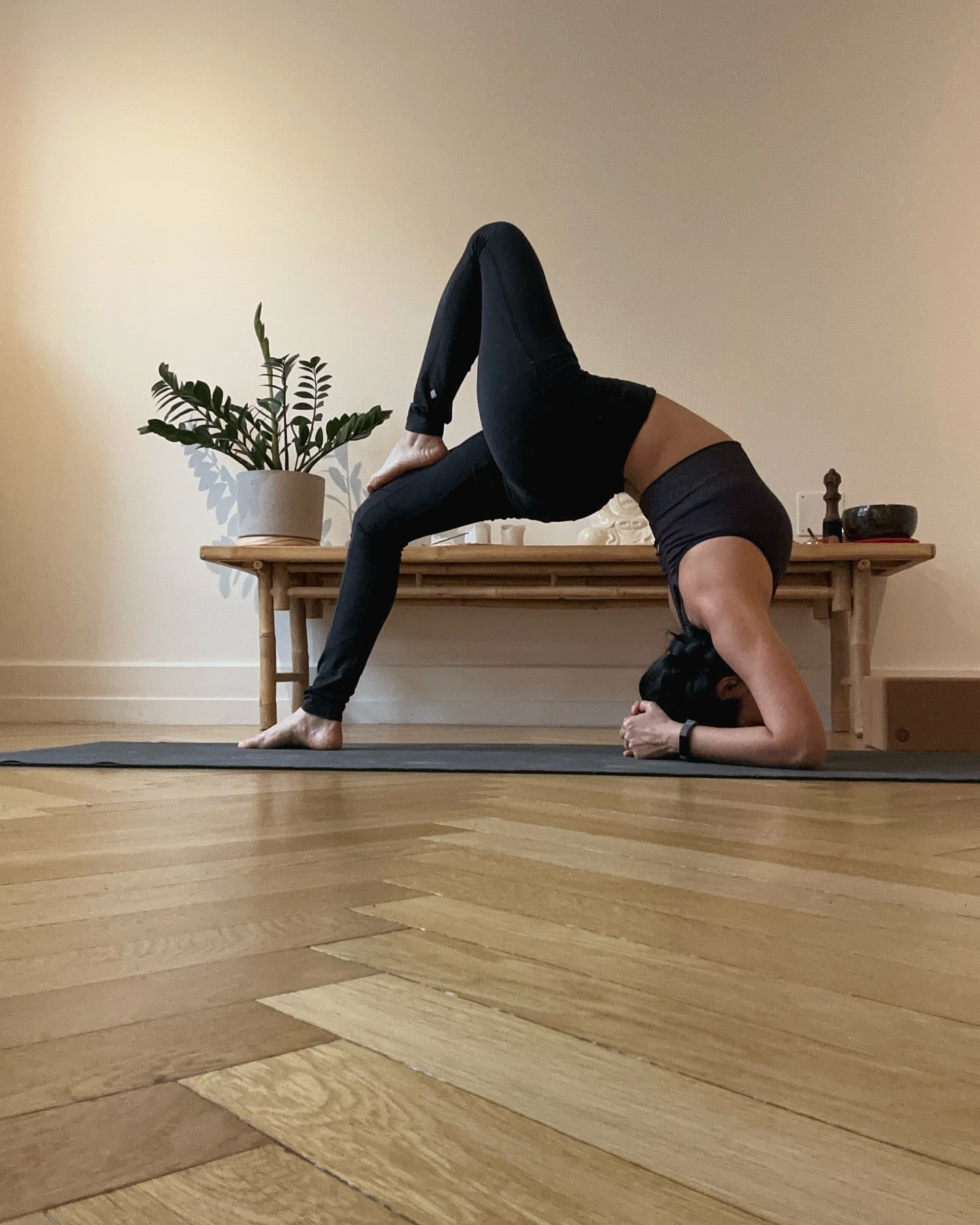 Hatha Vinyasa Long practice