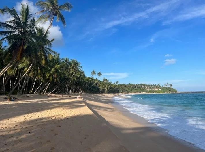 Root & Flow by the Ocean