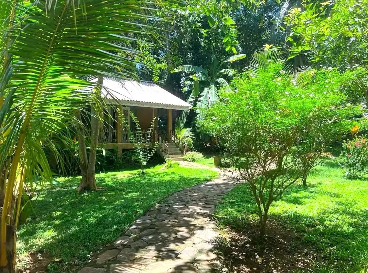 Root & Flow by the Ocean thumbnail 7